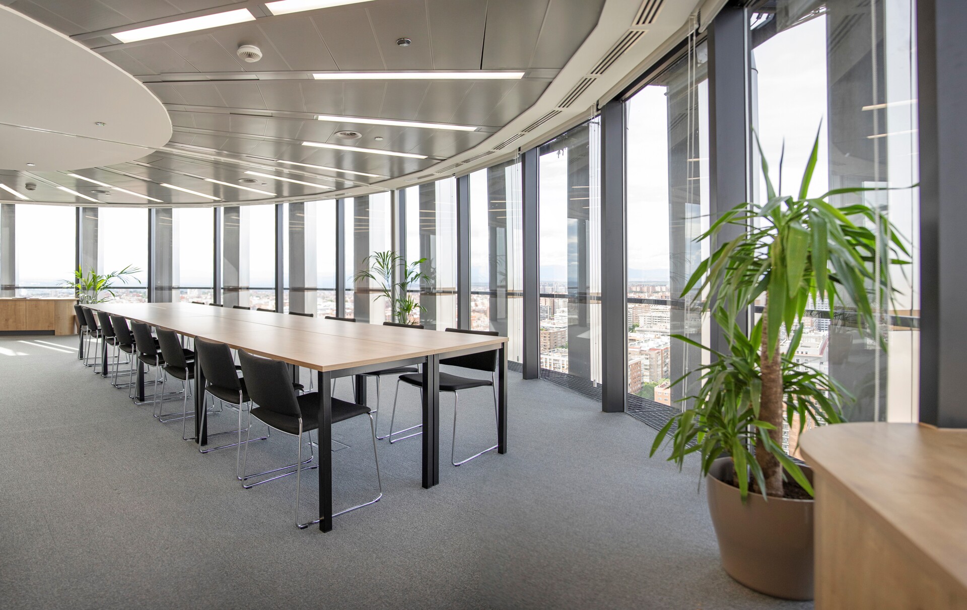 Paula Navarro, de Nanfor: "Creamos soluciones personalizadas que generan impacto en personas y organizaciones"