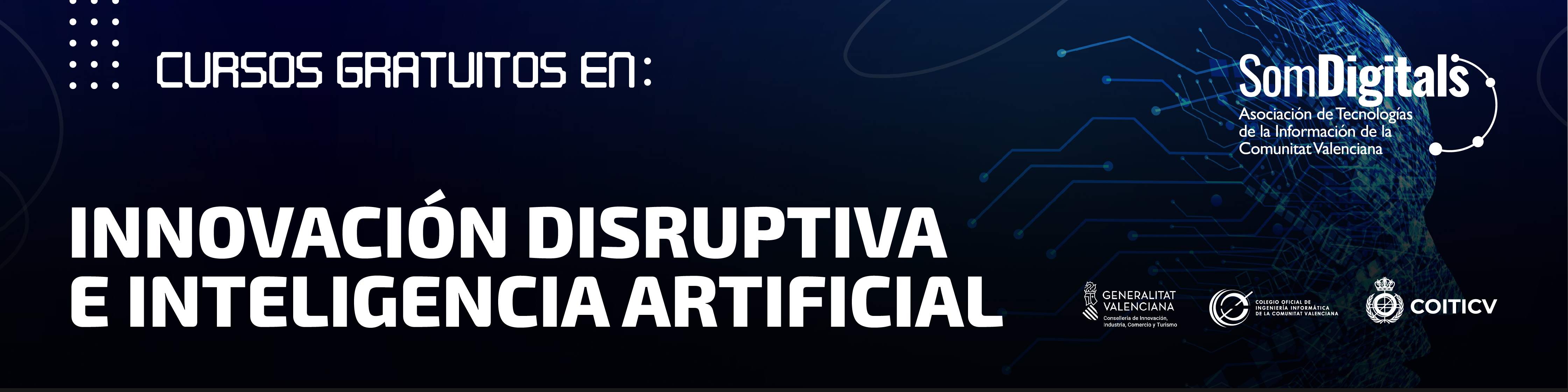 Cursos Subvencionados